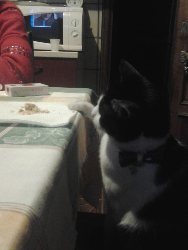 In un giorno qualsiasi 6