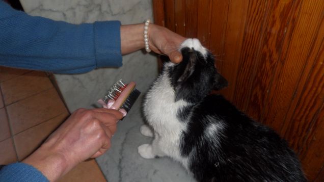 trucco e parrucco 10