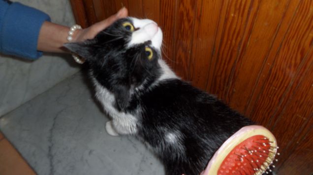 trucco e parrucco 11