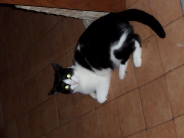 trucco e parrucco 12