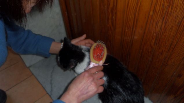 trucco e parrucco 13