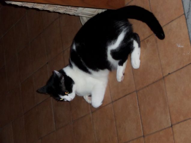 trucco e parrucco 14