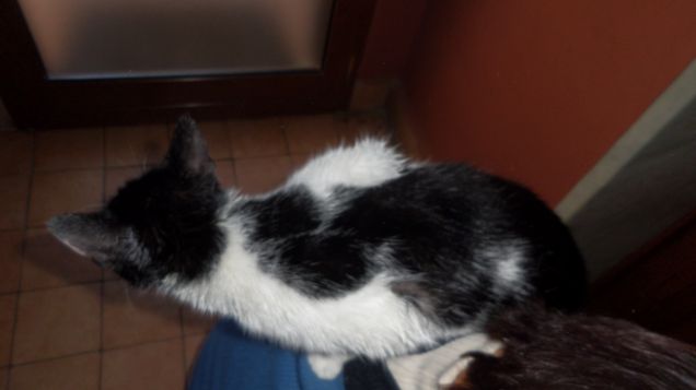 trucco e parrucco 15