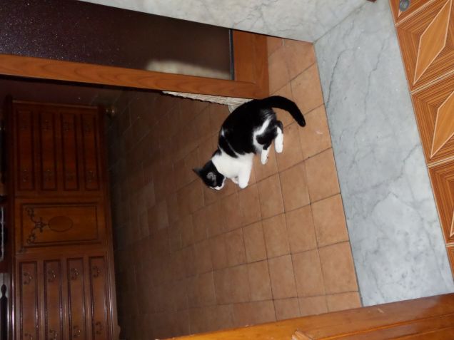 trucco e parrucco 16