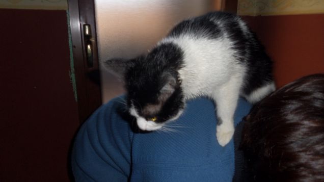 trucco e parrucco 17