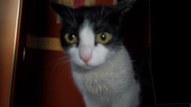 trucco e parrucco 19