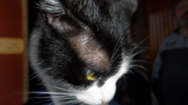 trucco e parrucco 20