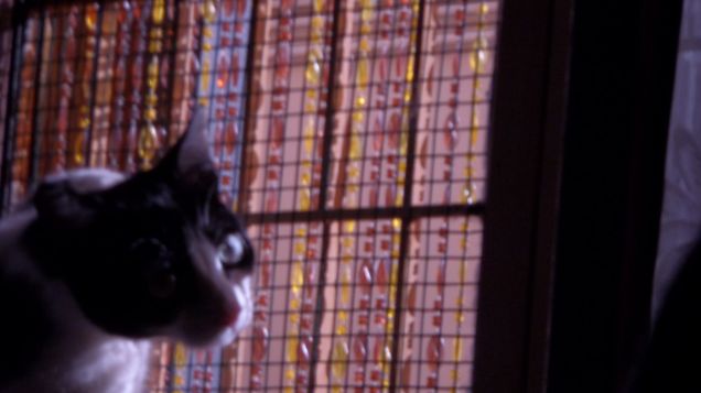 just a normal day 10