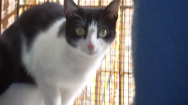 just a normal day 11