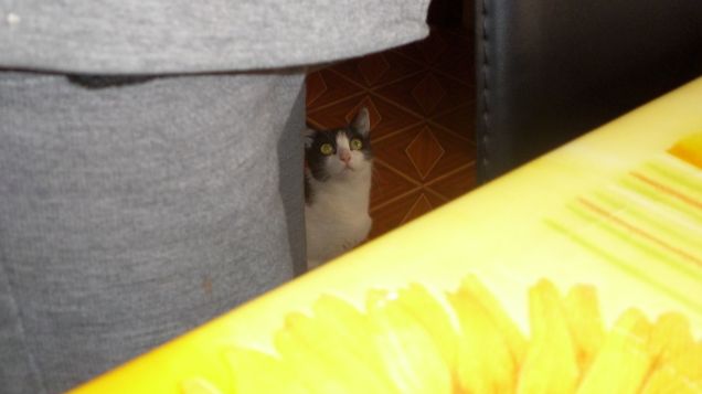 just a normal day 14