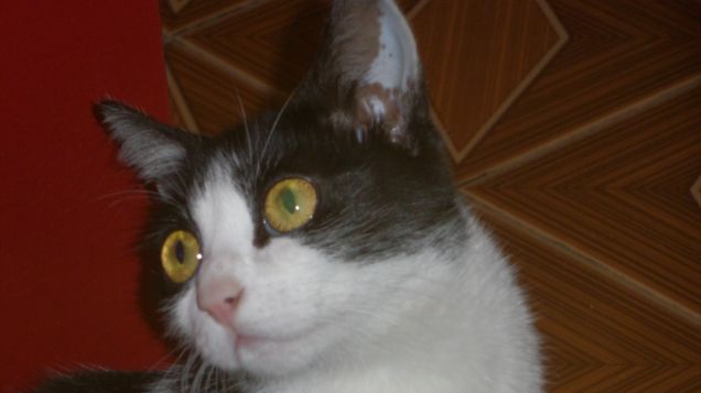 just a normal day 15