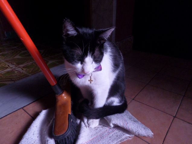 la padrona degli stracci 3