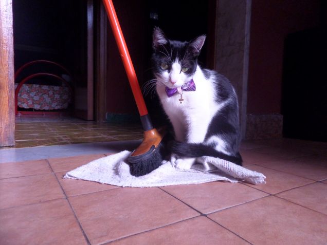 la padrona degli stracci 5