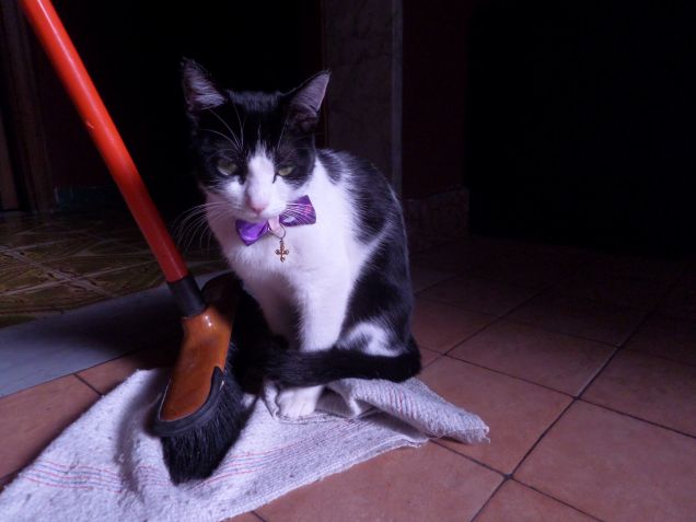 la padrona degli stracci 6