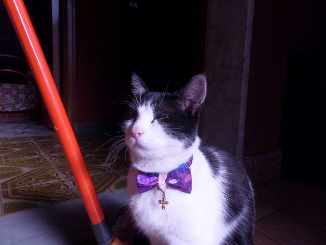 la padrona degli stracci 19