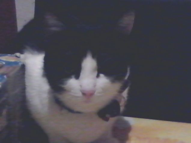 Posizioni insolite ma comode