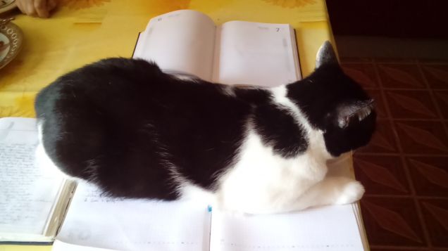 Posizioni insolite ma comode 1