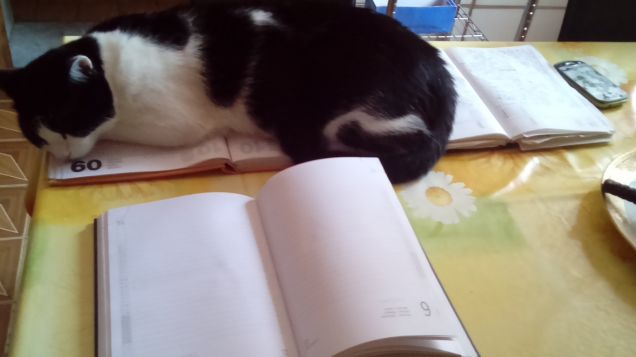 Posizioni insolite ma comode 2