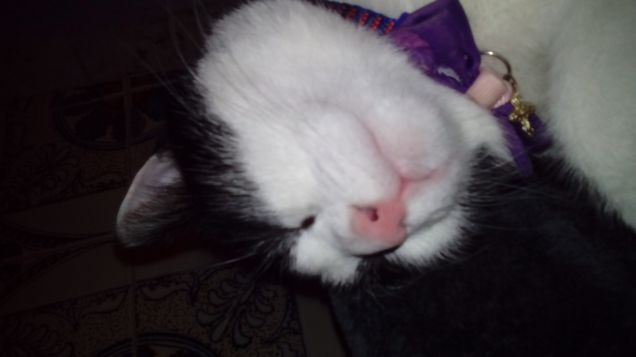 Posizioni insolite ma comode 3