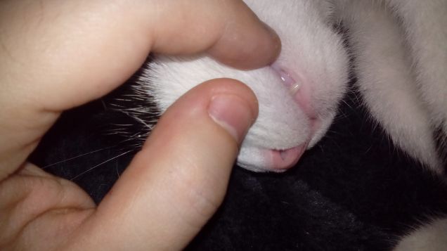 Posizioni insolite ma comode 4