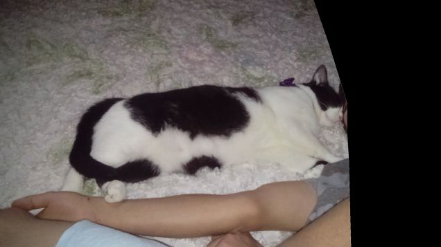 Posizioni insolite ma comode 6