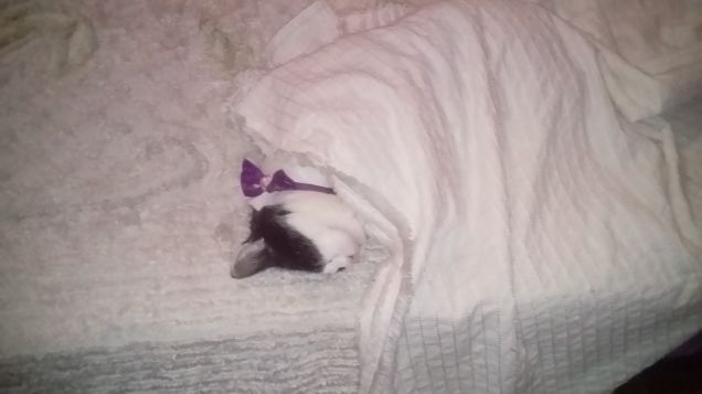 Posizioni insolite ma comode 7