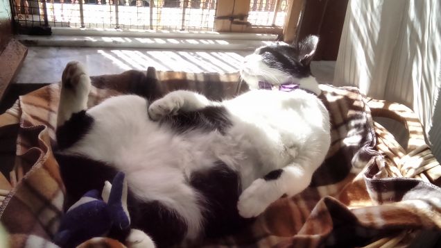 Posizioni insolite ma comode 8