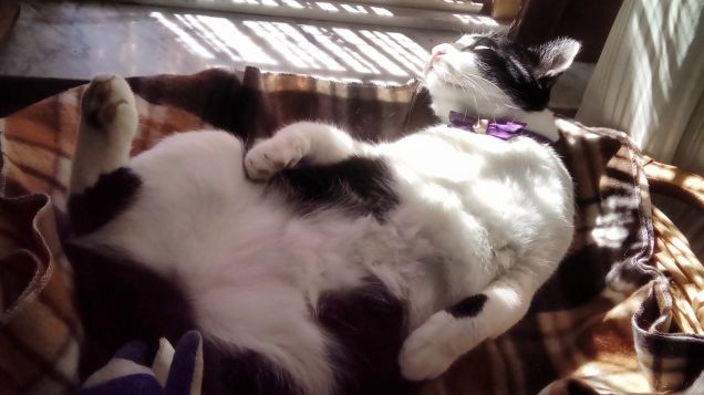 Posizioni insolite ma comode 9