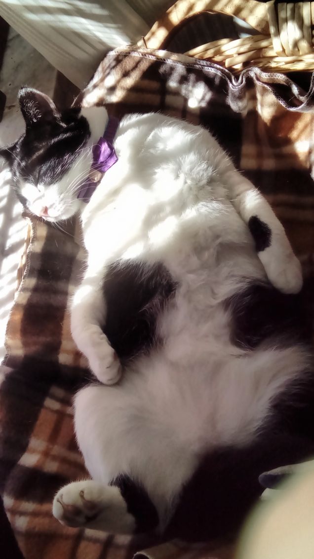 Posizioni insolite ma comode 10