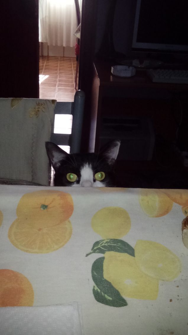 Posizioni insolite ma comode 11