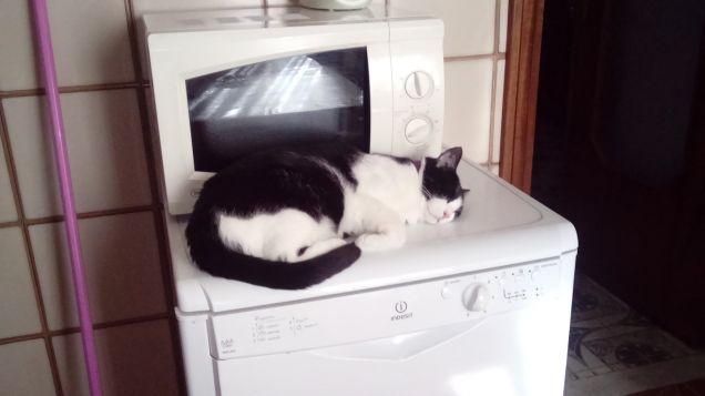 Posizioni insolite ma comode 12