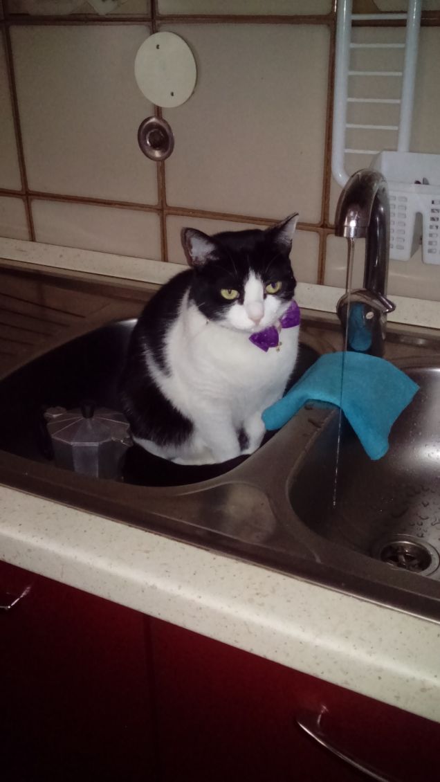 Posizioni insolite ma comode 14