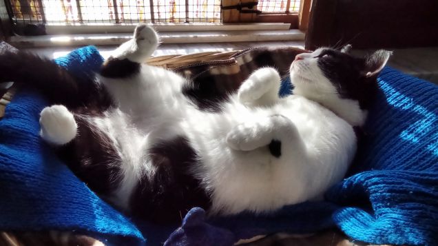 Posizioni insolite ma comode 15