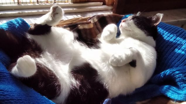 Posizioni insolite ma comode 16