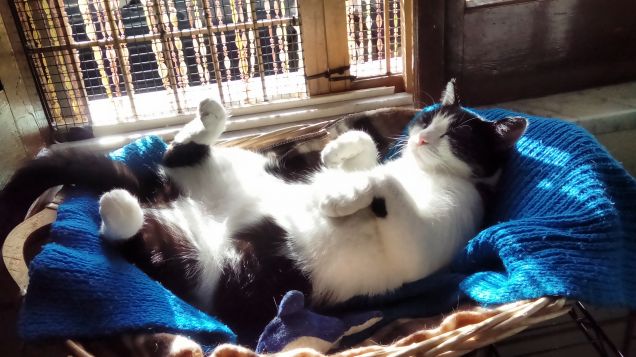 Posizioni insolite ma comode 17