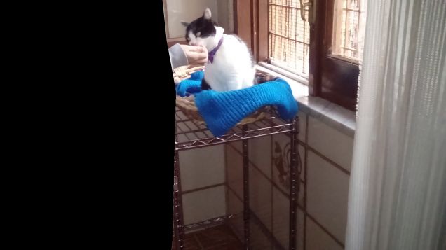 Posizioni insolite ma comode 18