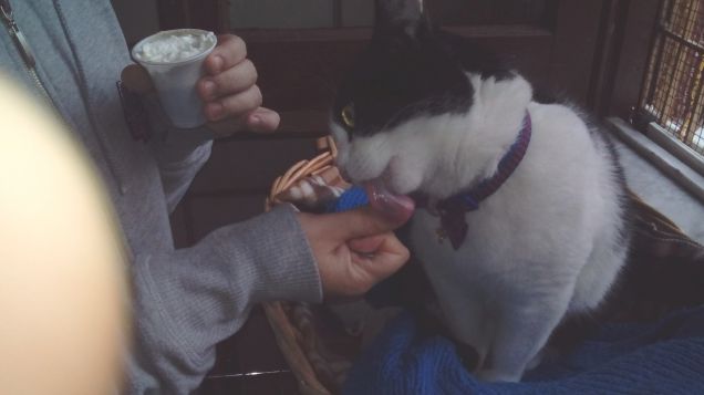 Posizioni insolite ma comode 19