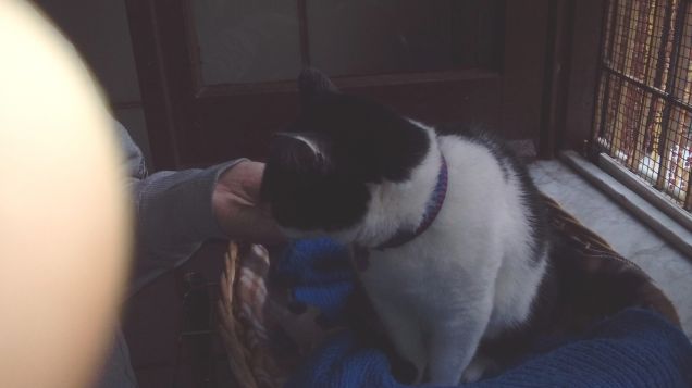 Posizioni insolite ma comode 20