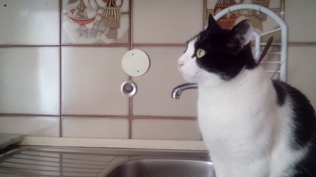 Mi sento perseguitata