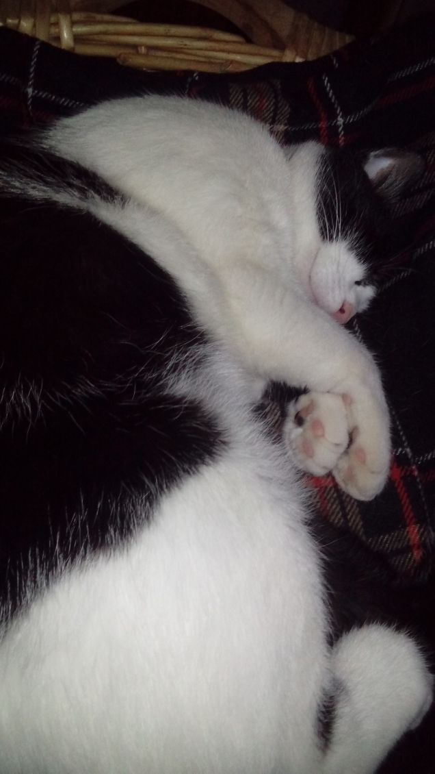 Mi sento perseguitata 2