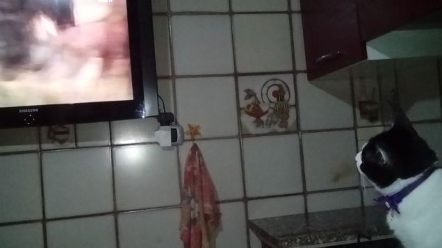 Mi sento perseguitata 7