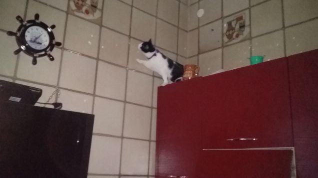 Mi sento perseguitata 8