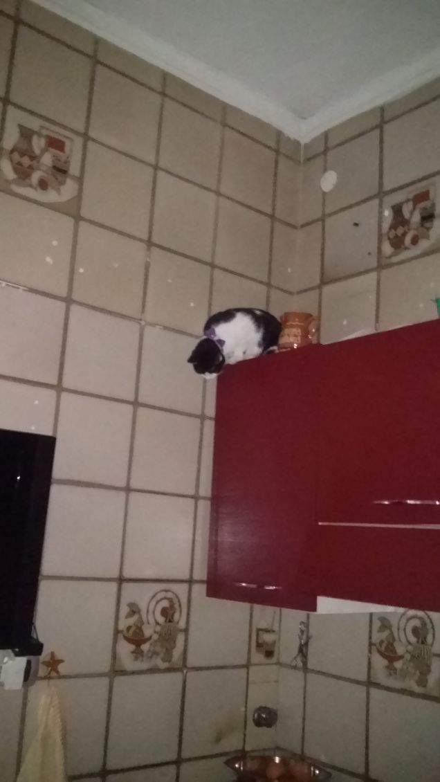 Mi sento perseguitata 9