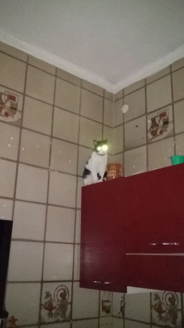 Mi sento perseguitata 10