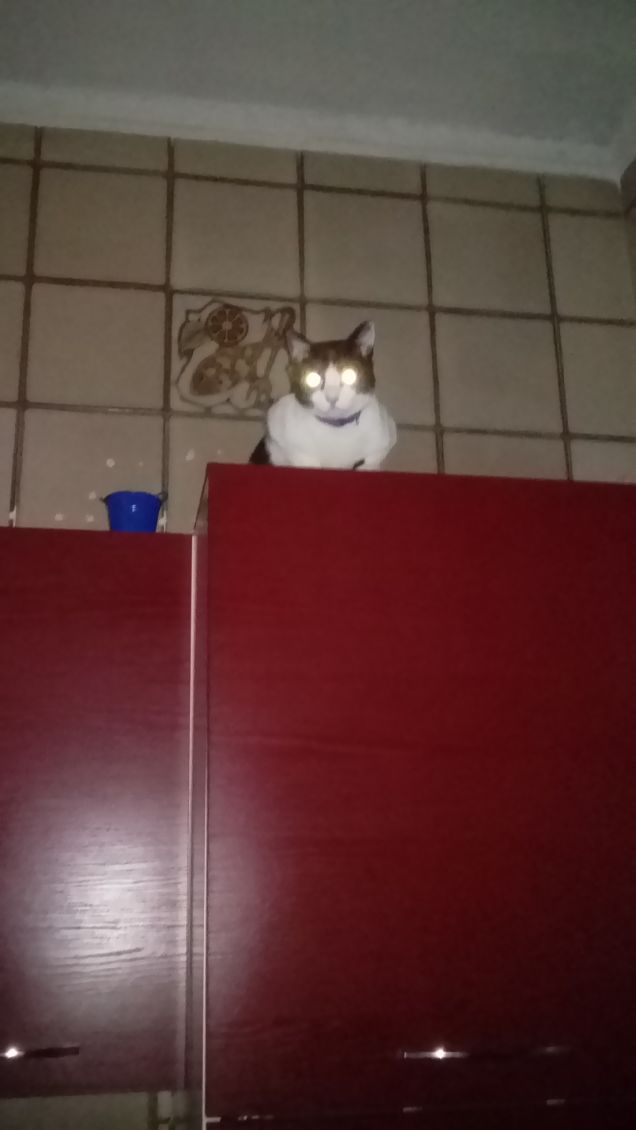 Mi sento perseguitata 11