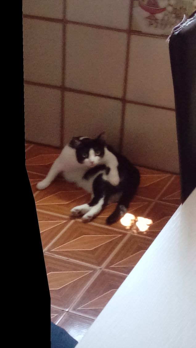 Mi sento perseguitata 12