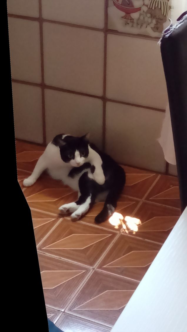 Mi sento perseguitata 13