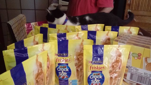 Felicità: un naso bagnato, una coda arruffata...19