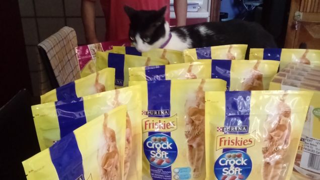 Felicità: un naso bagnato, una coda arruffata...20