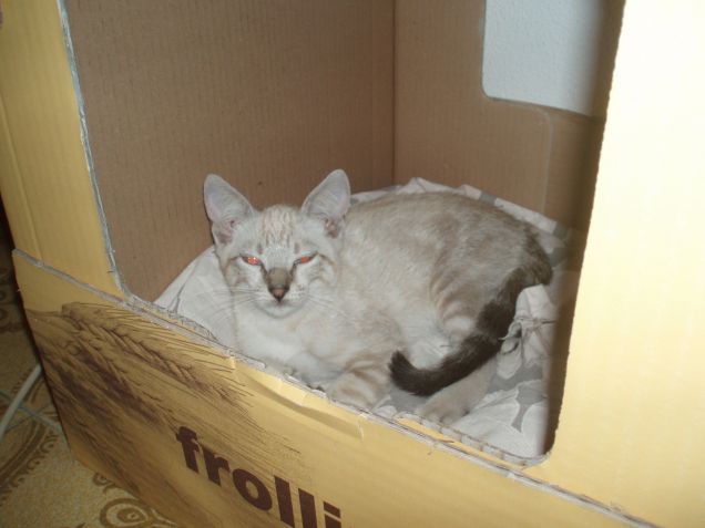 Cirillo Appena arrivato ;) 